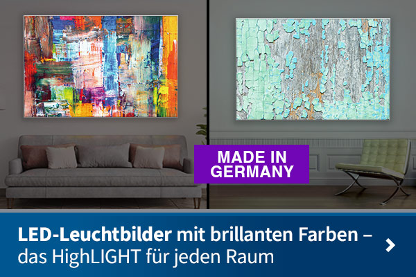 Akustik-Rückwand für Videokonferenzen, freistehend